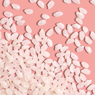 Sushi Reis Koshihikari